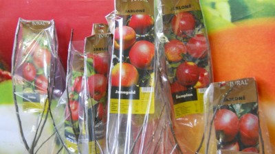 DSCN4771.JPG
