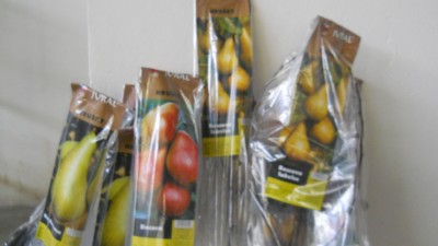 DSCN4789.JPG