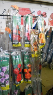 DSCN4791.JPG