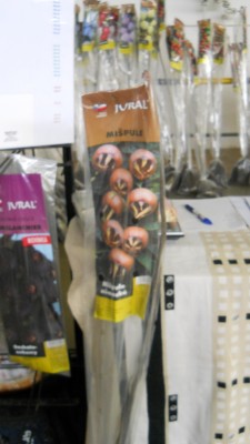 DSCN4801.JPG