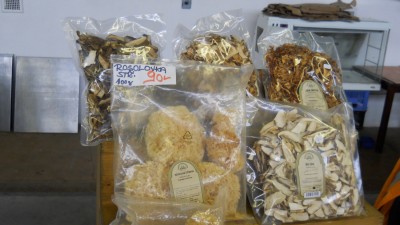DSCN4808.JPG