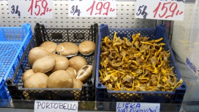DSCN4810.JPG