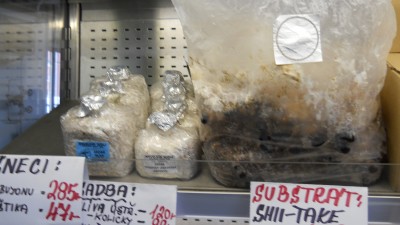 DSCN4812.JPG