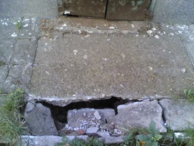 20102011.jpg