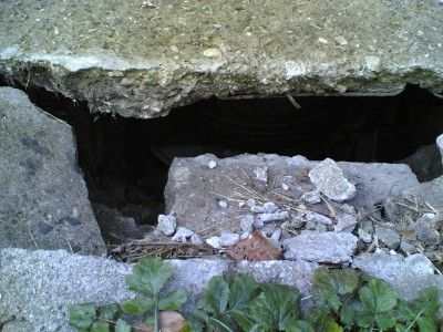 20102011(001).jpg