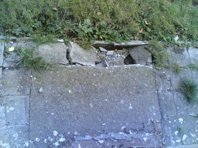 20102011(002).jpg