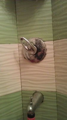 IMAG0205.jpg