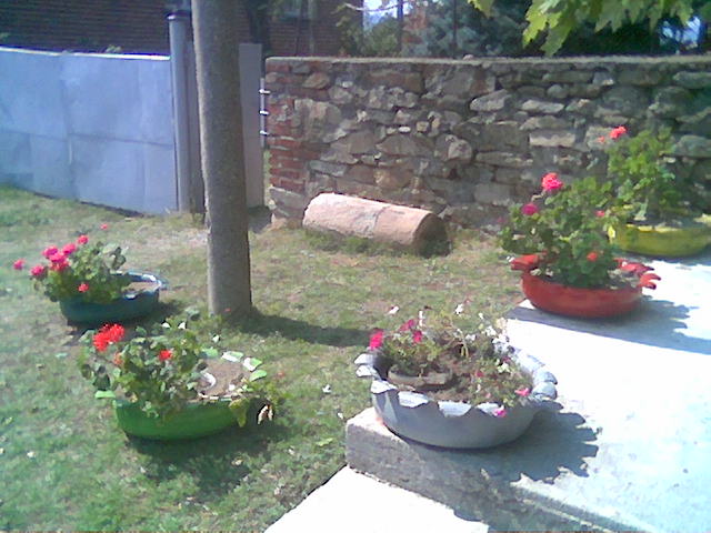 Image007.jpg