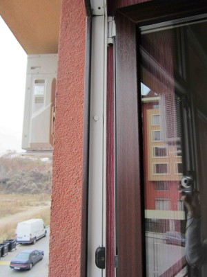 IMG_0127_1.jpg
