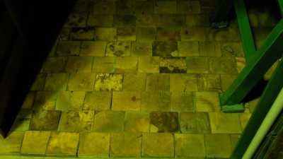 DSCN5430.JPG