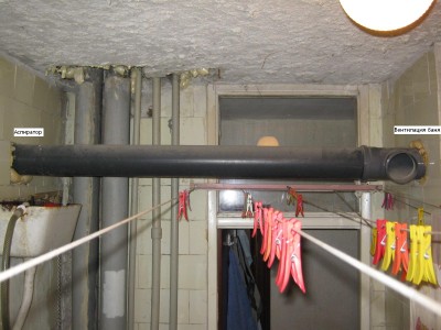 IMG_2908.jpg