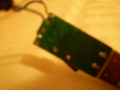 P1010081.JPG