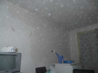 P1340854_resize.JPG