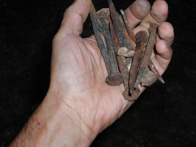 nails.jpg