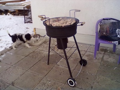 22012012181.jpg