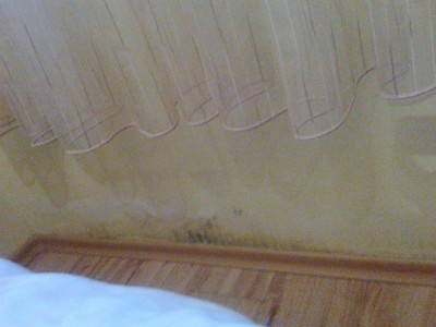 Picture 001.jpg