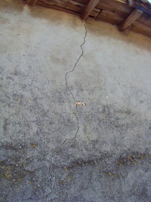 SDC11512.JPG