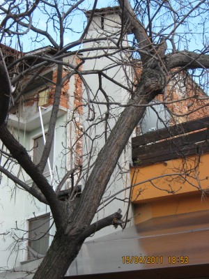 Picture 001.jpg