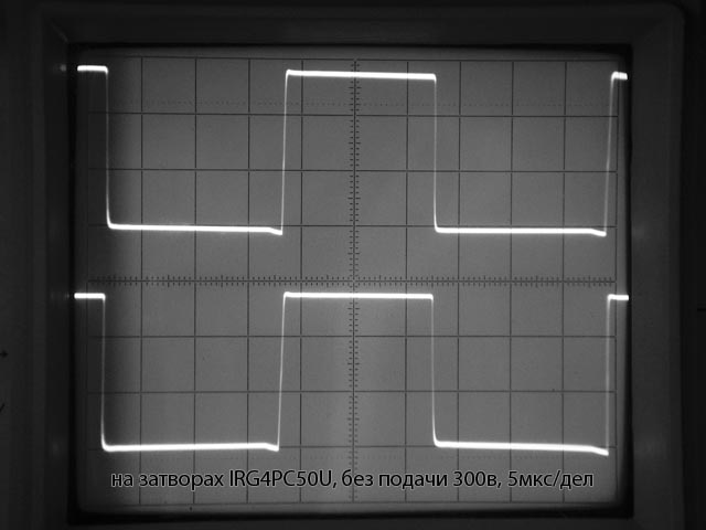 20486400065.jpg