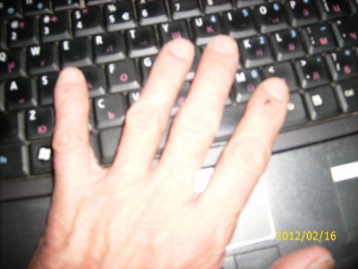 DSCI0329.JPG