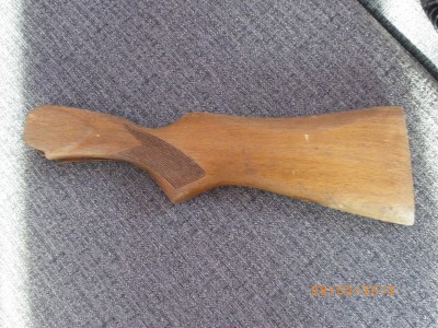 IMGP9687.JPG