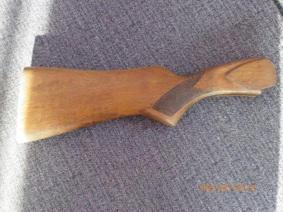 IMGP9688.JPG
