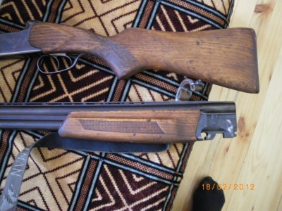 IMGP9725.JPG