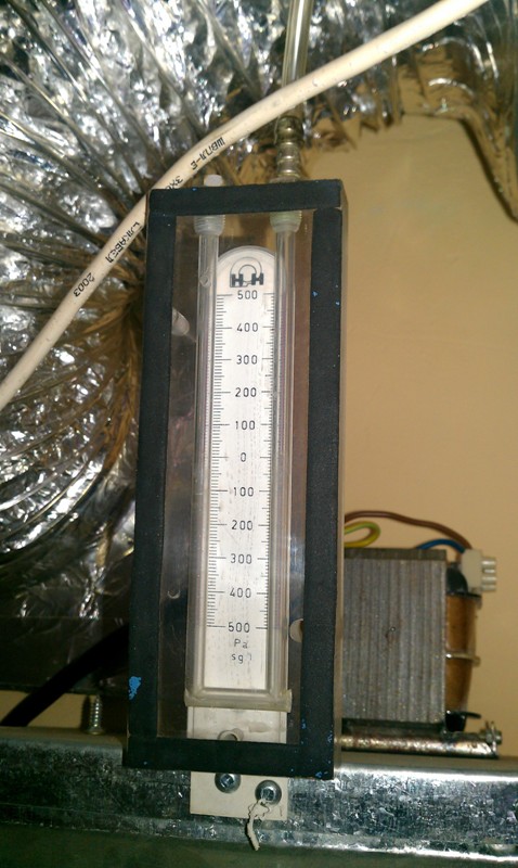 IMAG0237.jpg