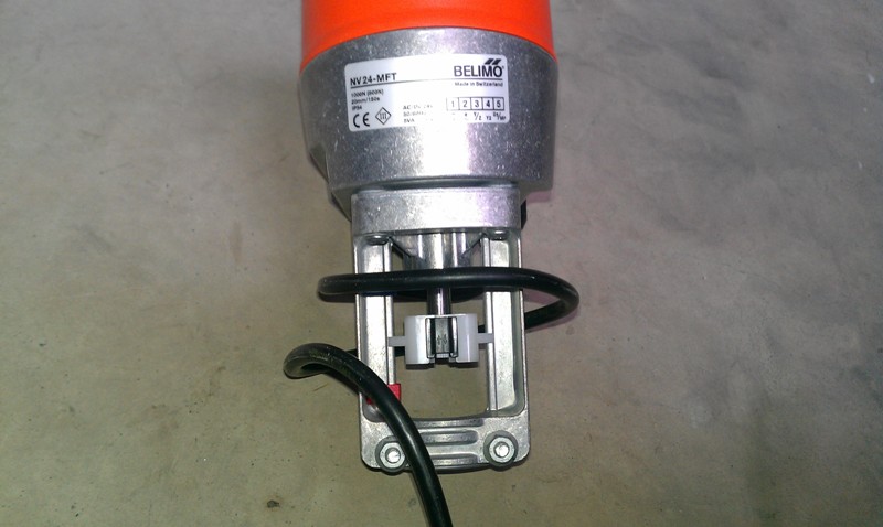 IMAG0267.jpg