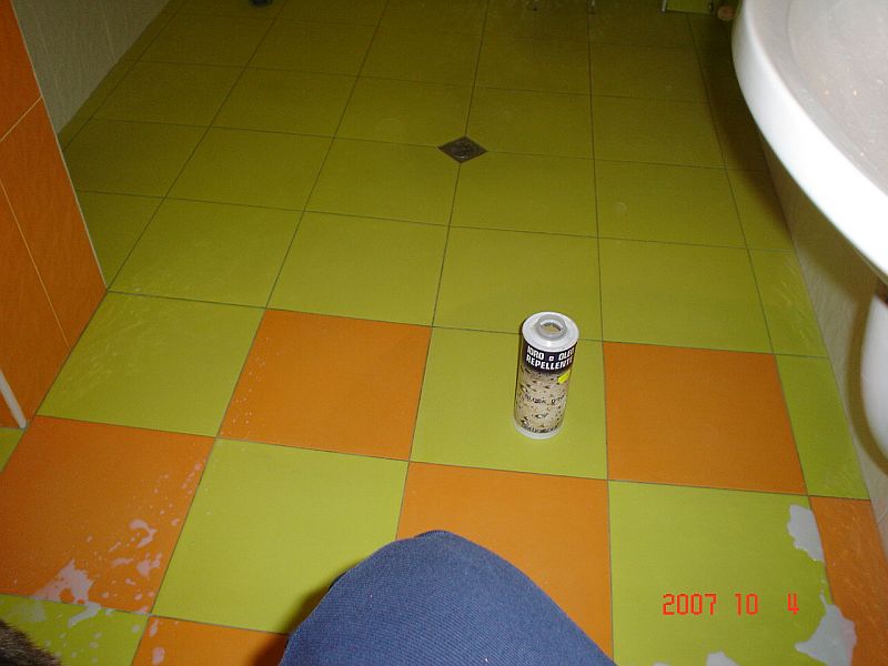 DSC01985.jpg