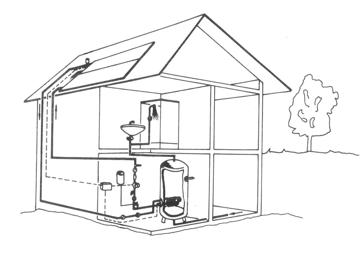 Picture1.jpg