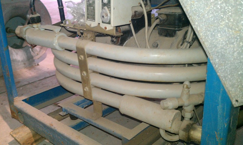 IMAG0290.jpg