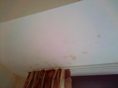 IMG_20120313_070836.jpg