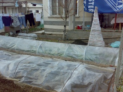 100320121634.jpg