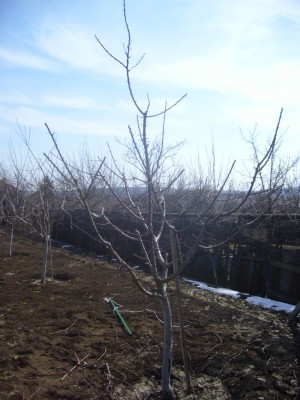 S7006821.JPG