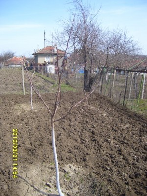 S7004196.JPG