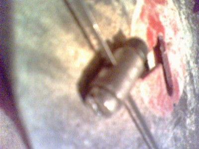 IMG0134A.jpg