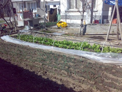 180320121646.jpg
