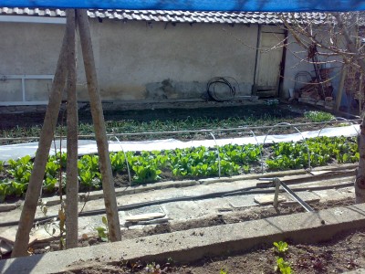 180320121647.jpg