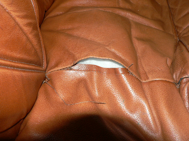 P1020117.JPG