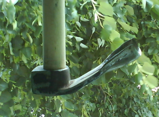 023804878.jpg