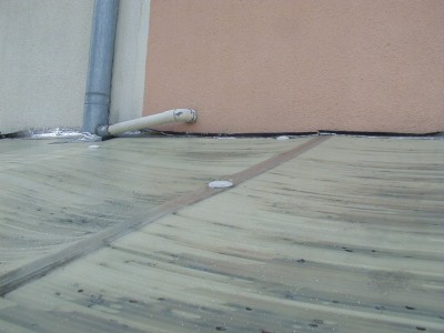P1010005.JPG