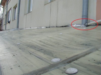 P1010006.JPG
