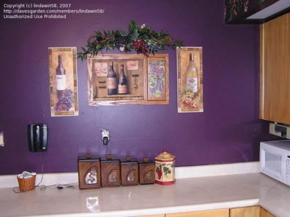 lindawin58_1182472504_695.JPG