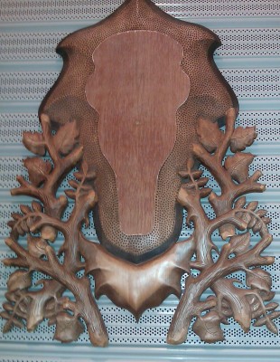 IMAG0239.jpg