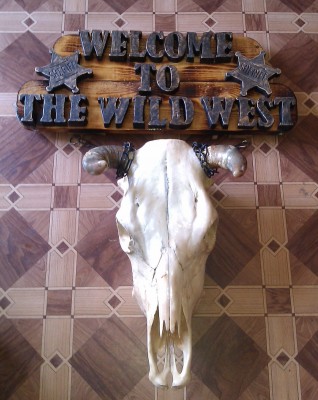 IMAG0247.jpg