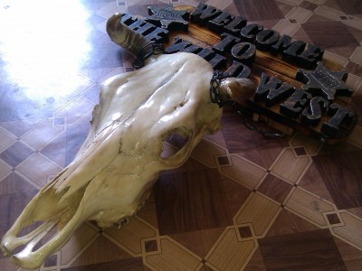 IMAG0248.jpg