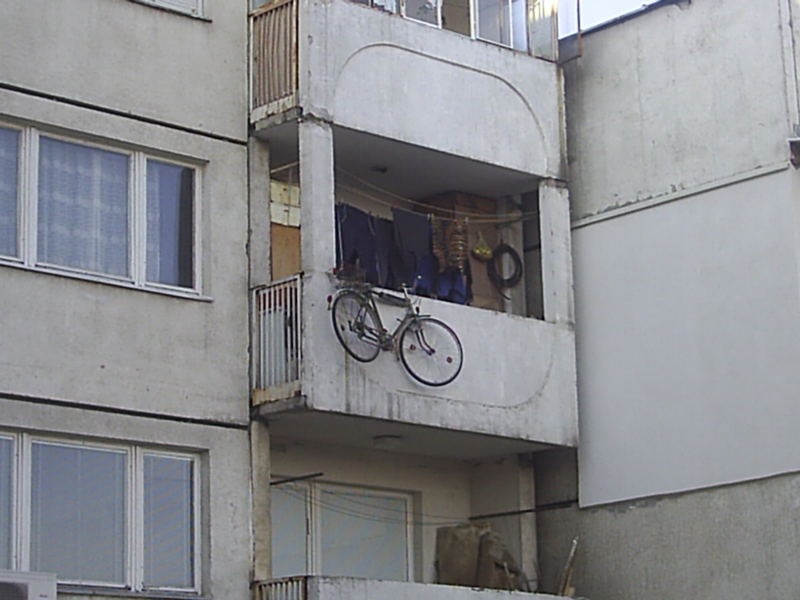 kolelo5.jpg