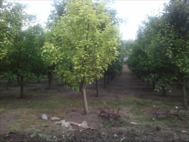 Снимки0682E001.jpg