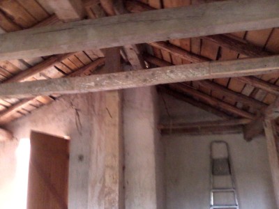 IMG_20120513_073431.jpg